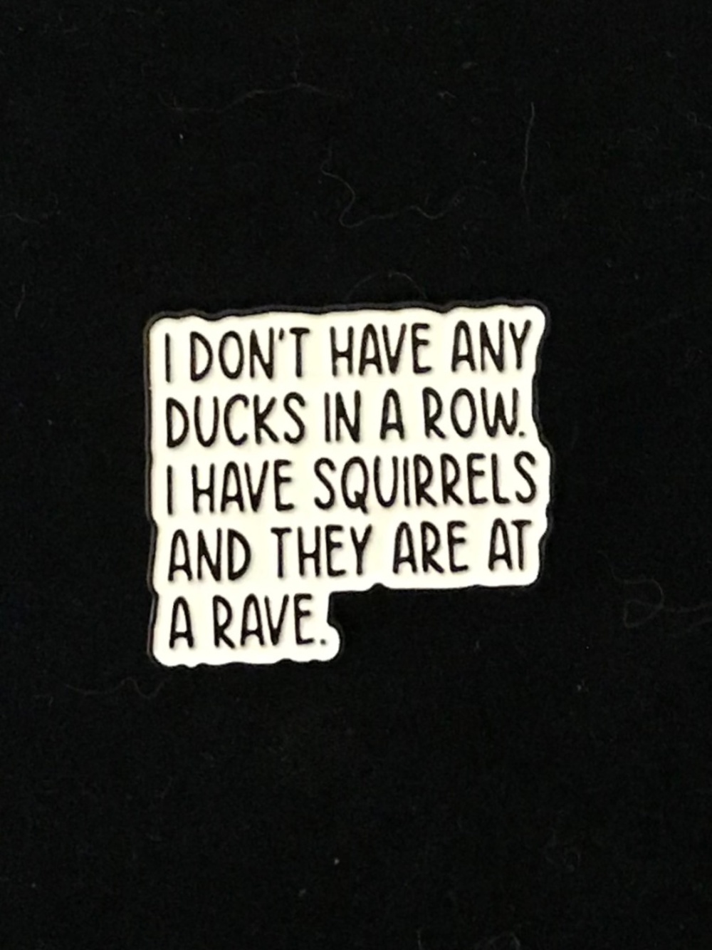 NWOT “I don’t have any ducks in a row I have squirrels” pin (pins: 1/$12, 2/$20)